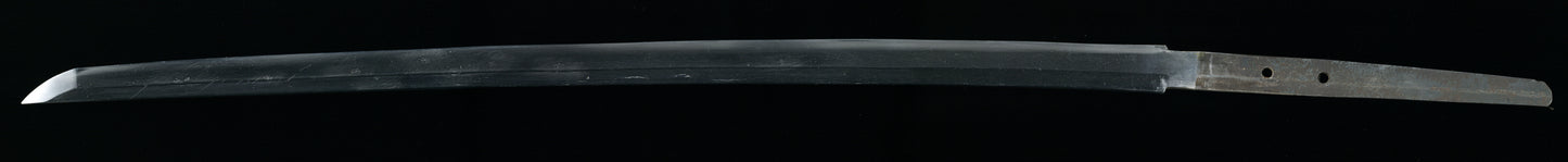 Ashigaru Armory AA18-1000 濃州関住兼次作 "Nōshū Seki-jū Kanetsugu saku" Shinshinto Dojo Special Tameshigiri/Iai Shinken