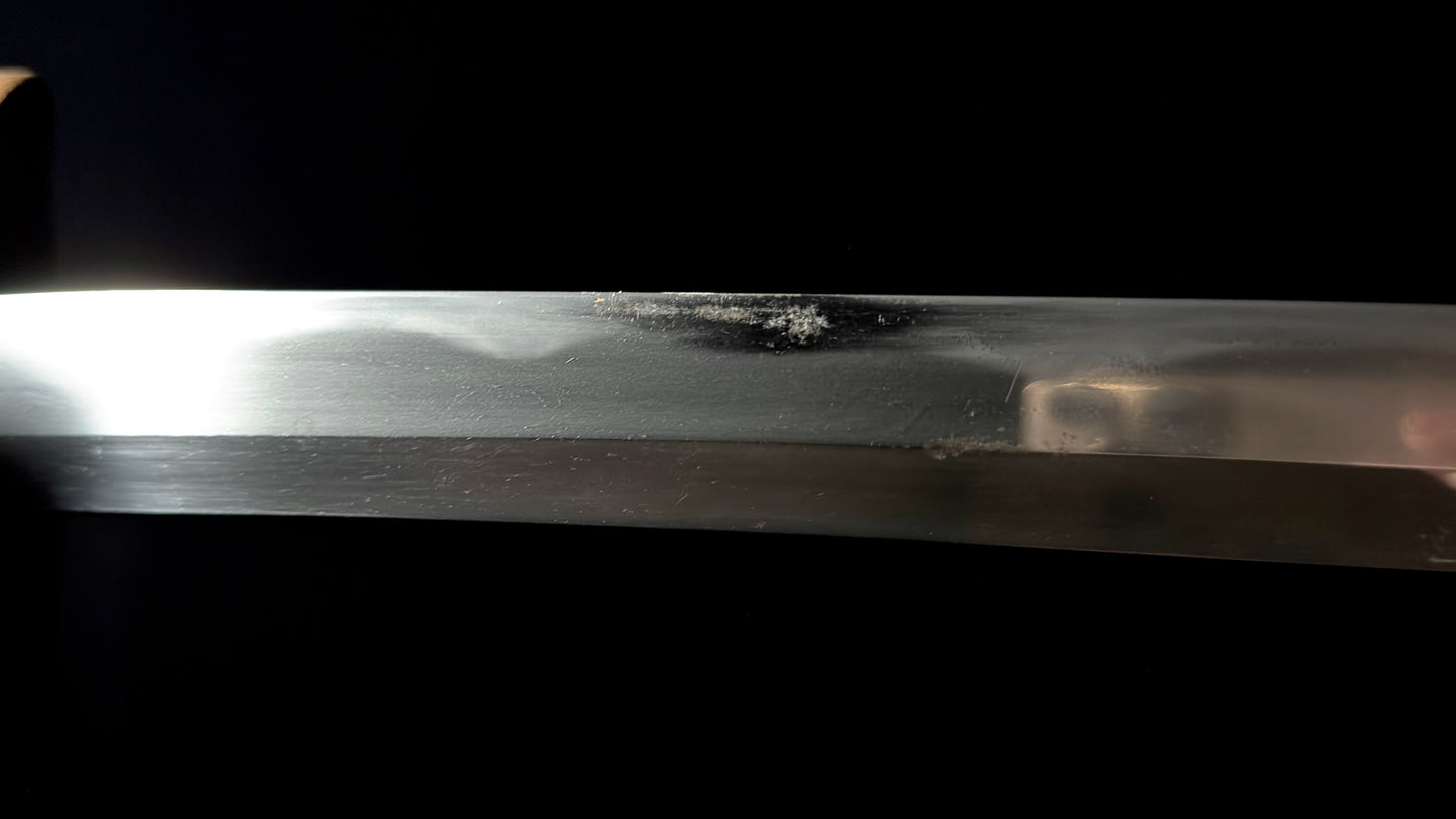 Shinshinto Mumei 70cm Iai Katana with Fukure