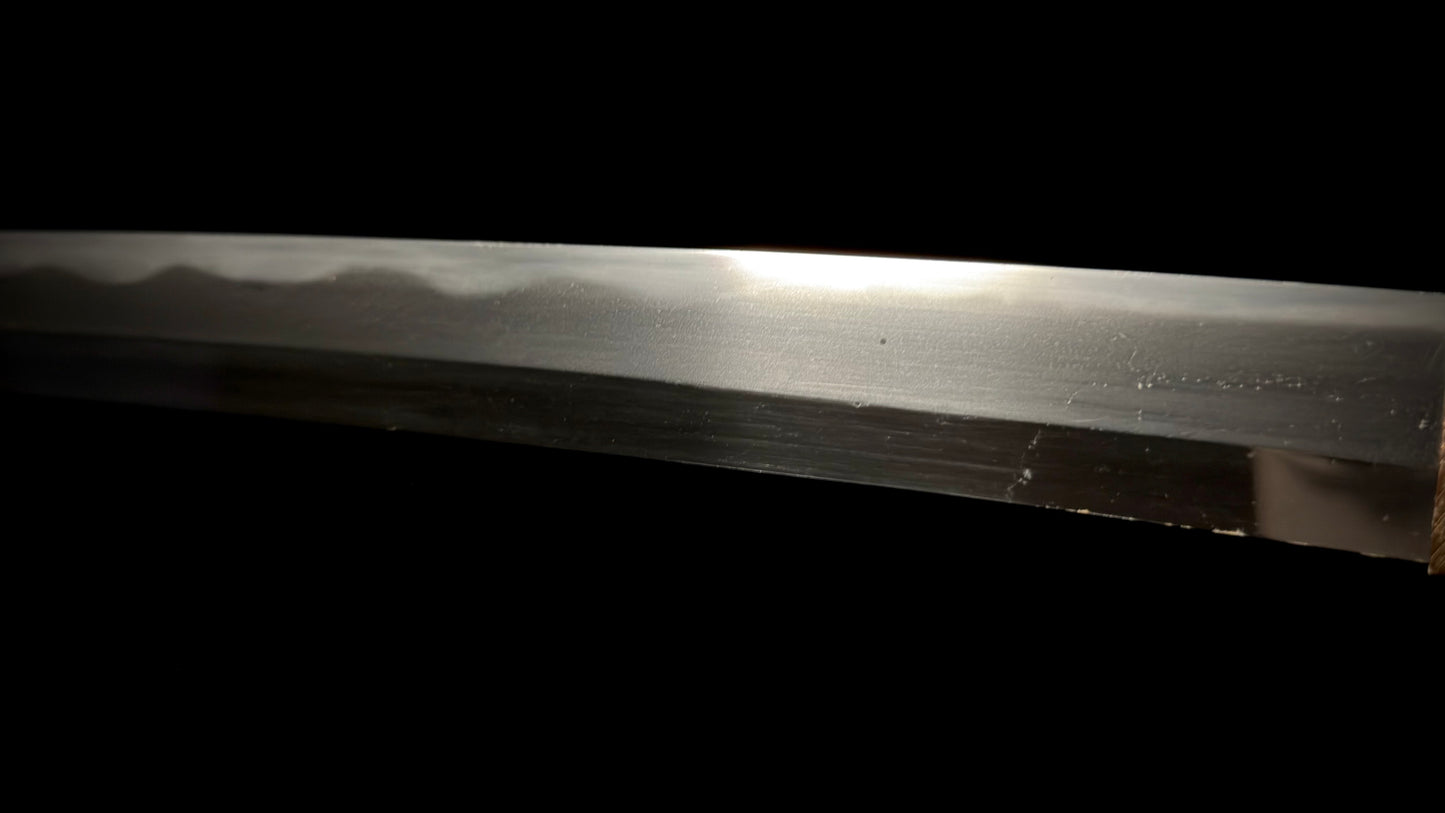 Shinshinto Mumei 70cm Iai Katana with Fukure